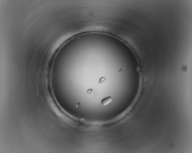 X0000115641038200911101512