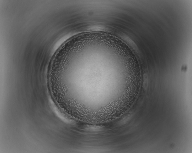 X0000115641039200911101512