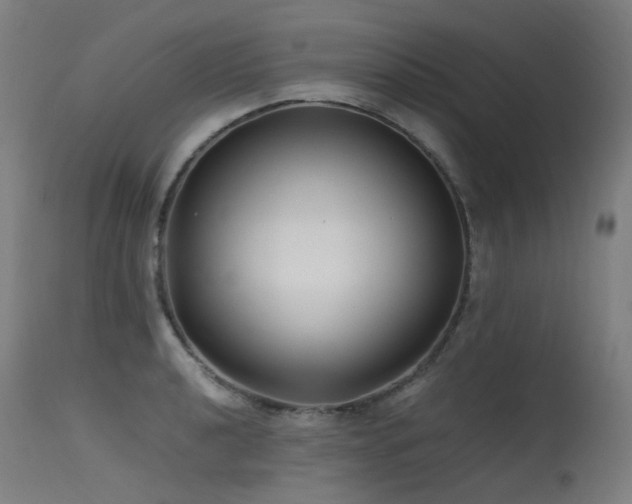 X0000115641040200911101512
