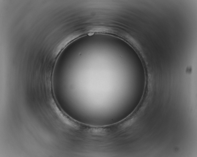 X0000115641041200911101512