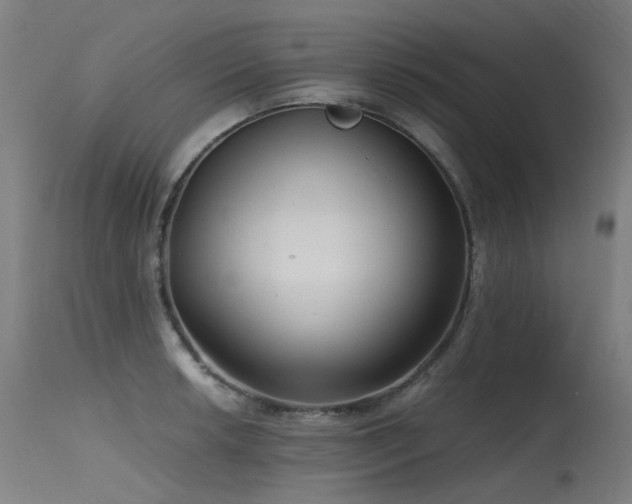 X0000115641042200911101512