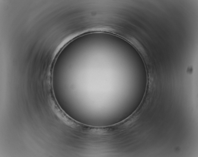 X0000115641044200911101512