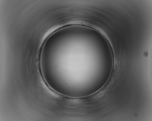 X0000115641045200911101512