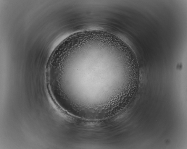X0000115641047200911101512