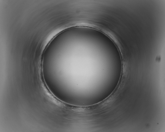 X0000115641048200911101512