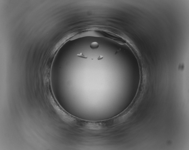 X0000115641049200911101512
