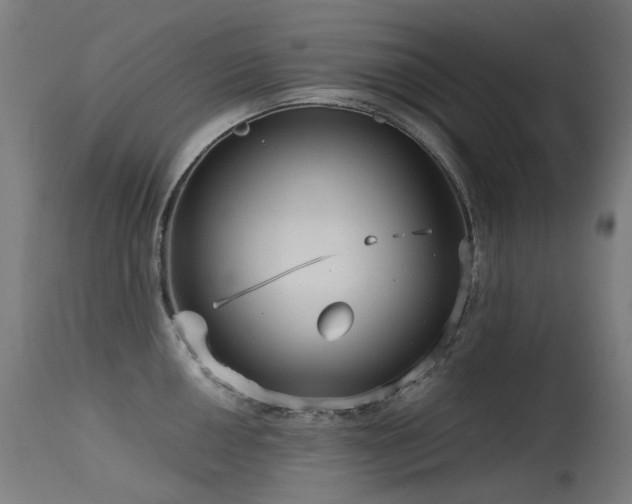X0000115641050200911101512