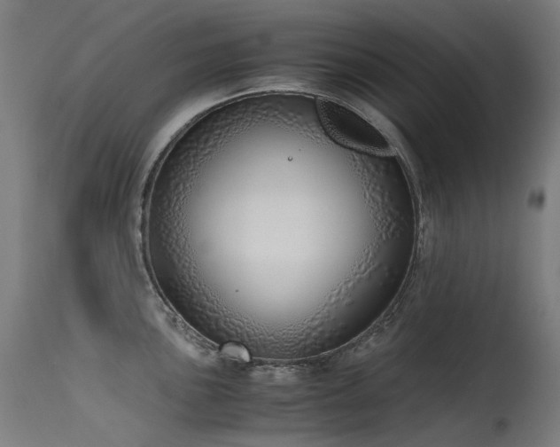 X0000115641051200911101512