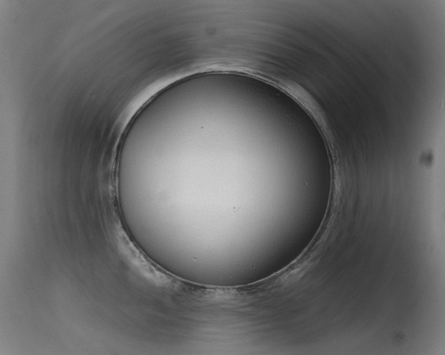 X0000115641052200911101512