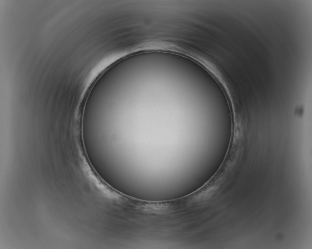 X0000115641053200911101512