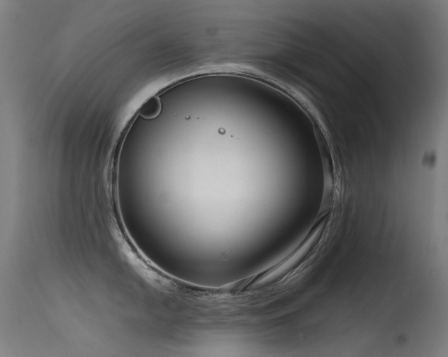 X0000115641054200911101512