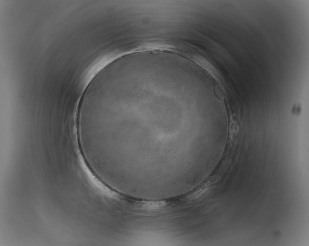 X0000115641055200911101512