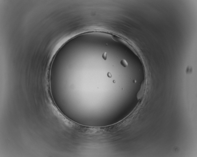 X0000115641056200911101512