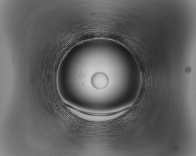 X0000115641057200911101511