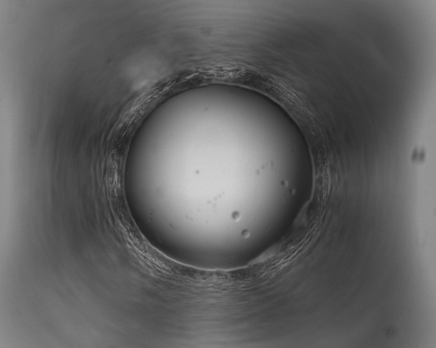 X0000115641058200911101511