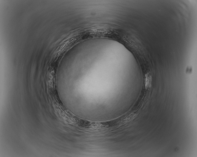 X0000115641059200911101511