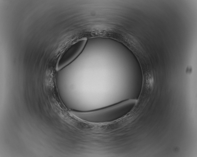 X0000115641060200911101511