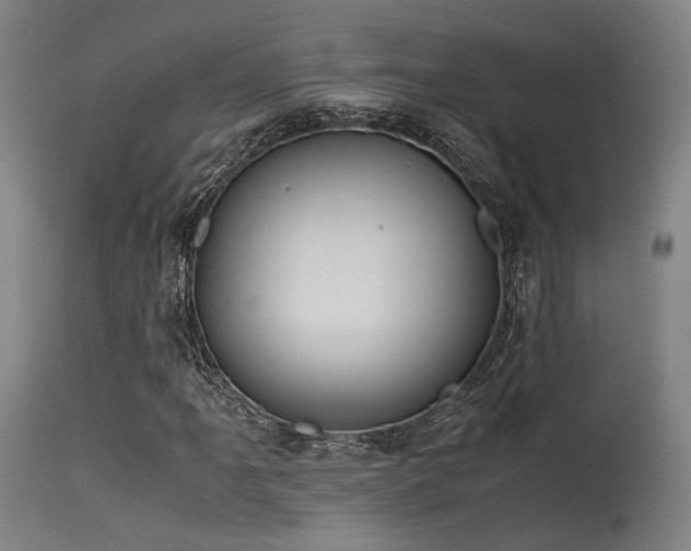 X0000115641061200911101511