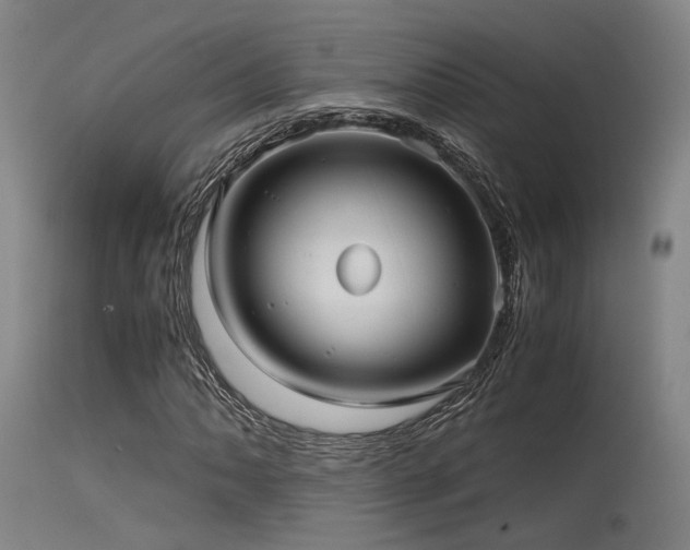 X0000115641062200911101511