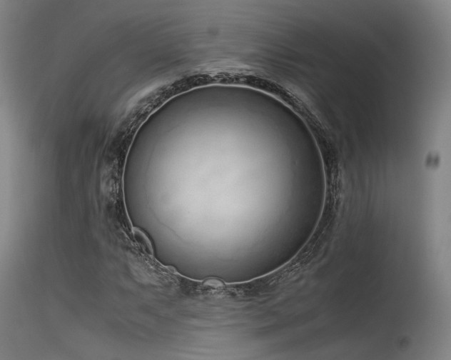 X0000115641063200911101511