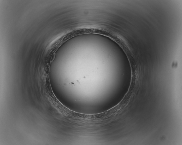 X0000115641064200911101511