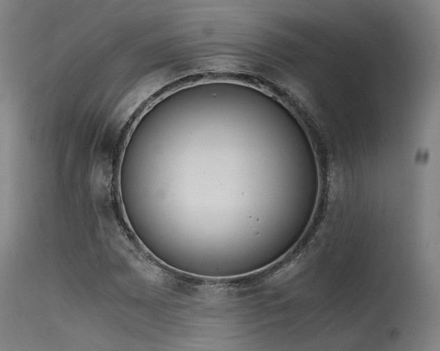 X0000115641065200911101511