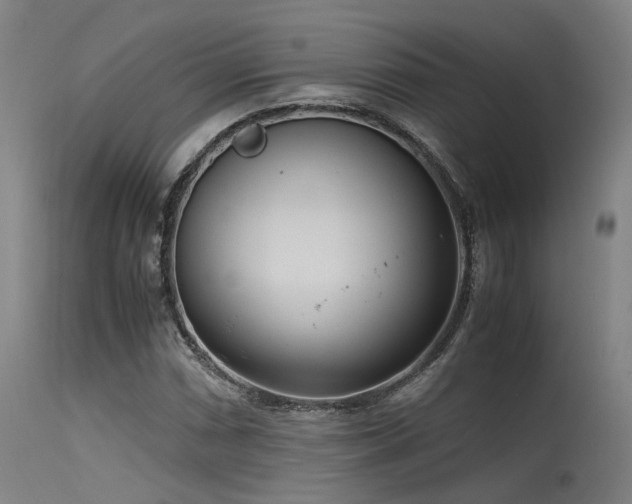 X0000115641066200911101511