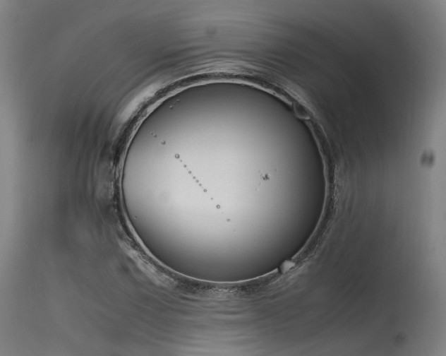 X0000115641067200911101511