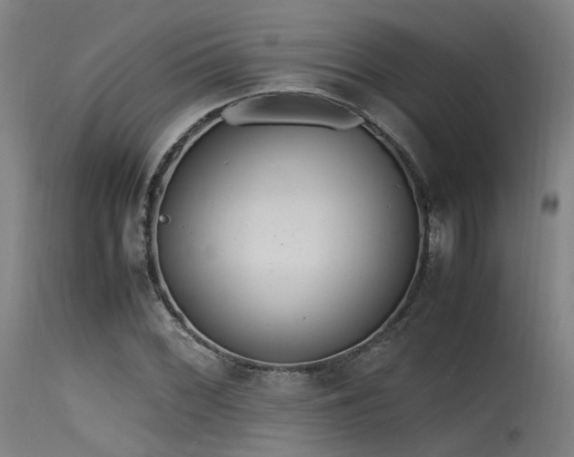 X0000115641068200911101511
