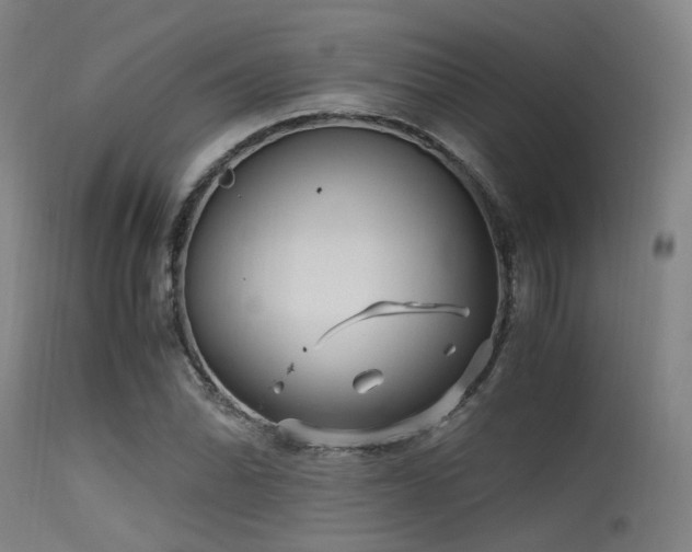 X0000115641070200911101511