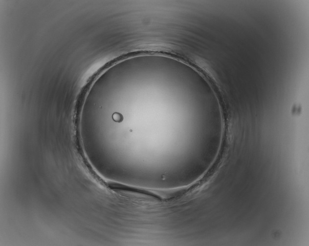X0000115641071200911101511