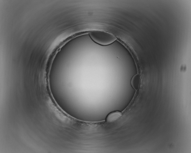 X0000115641072200911101511