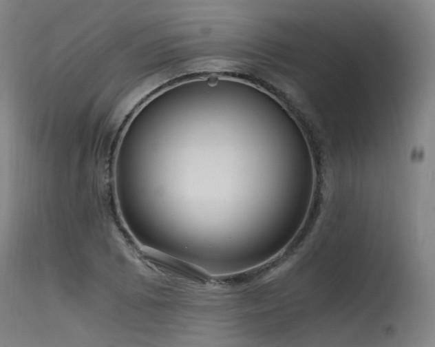 X0000115641073200911101511