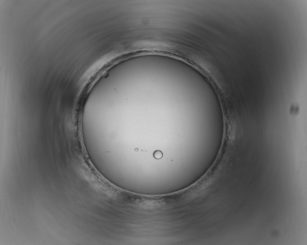 X0000115641074200911101511