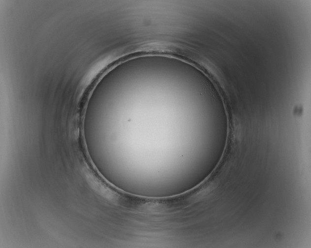 X0000115641075200911101511
