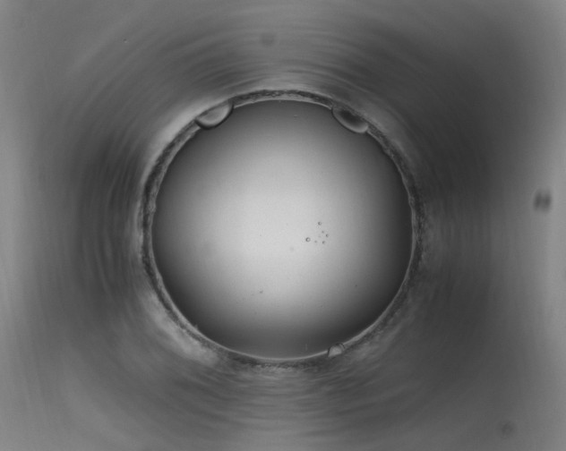 X0000115641076200911101511