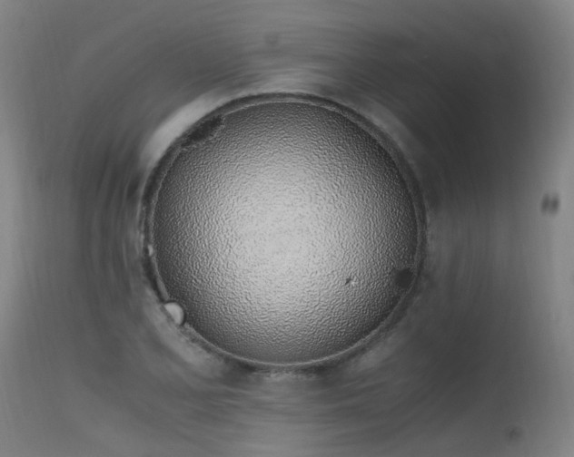 X0000115641077200911101511
