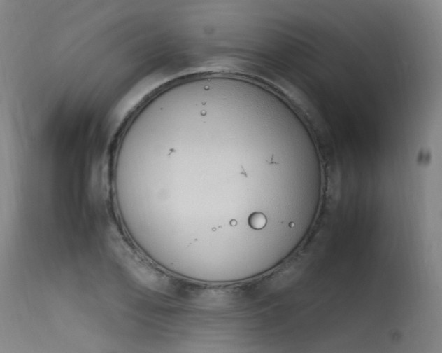 X0000115641078200911101511