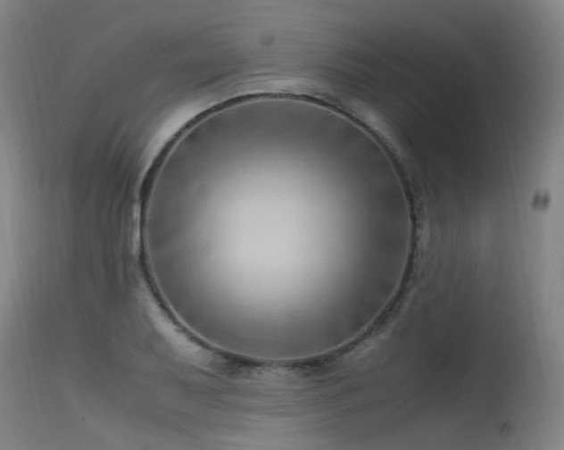X0000115641079200911101511
