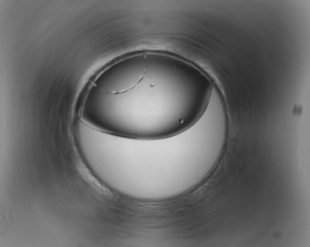 X0000115641080200911101511