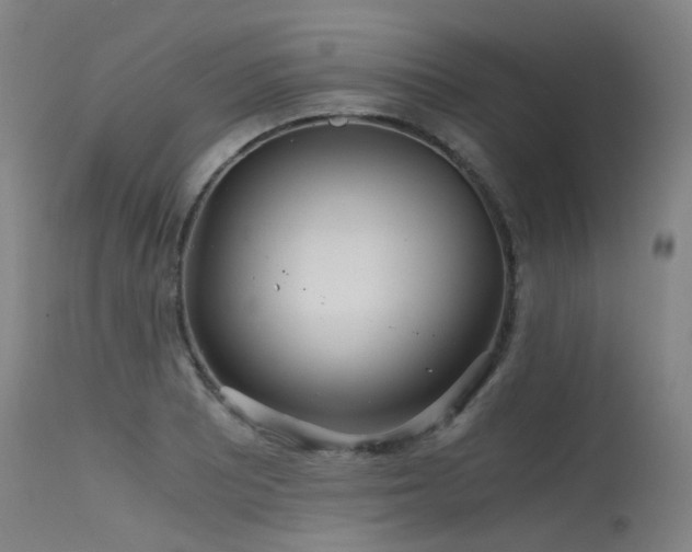X0000115641081200911101511