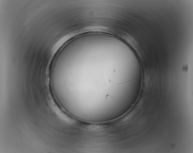 X0000115641082200911101511