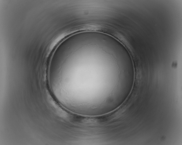 X0000115641083200911101511