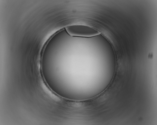 X0000115641084200911101511