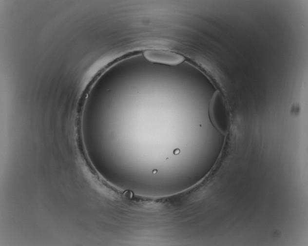 X0000115641085200911101511