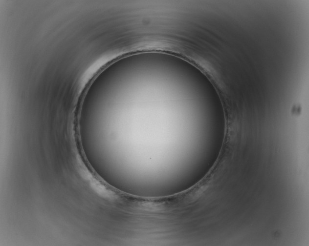 X0000115641086200911101511