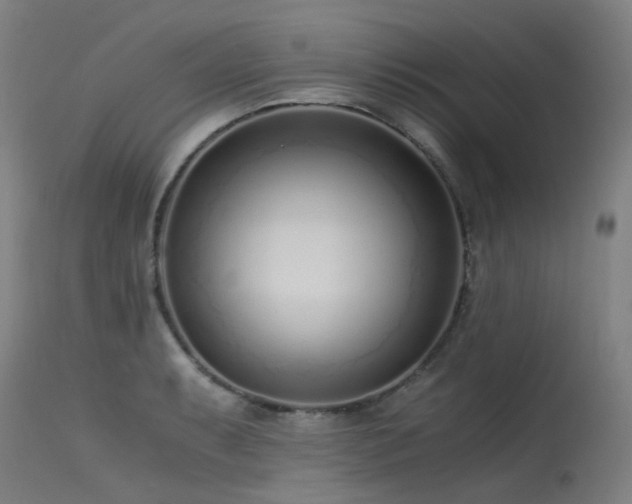 X0000115641087200911101511