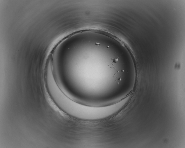 X0000115641088200911101511