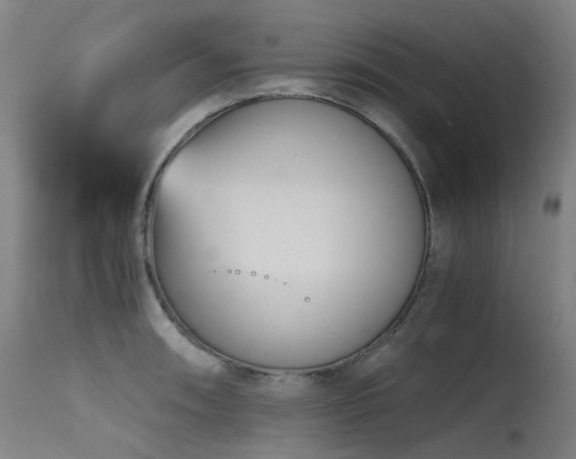 X0000115641090200911101511