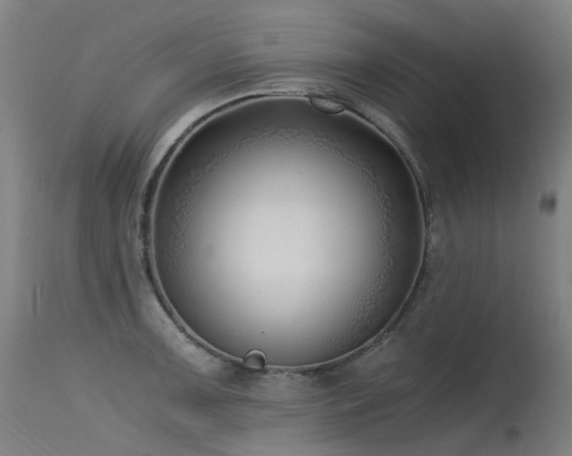 X0000115641091200911101511